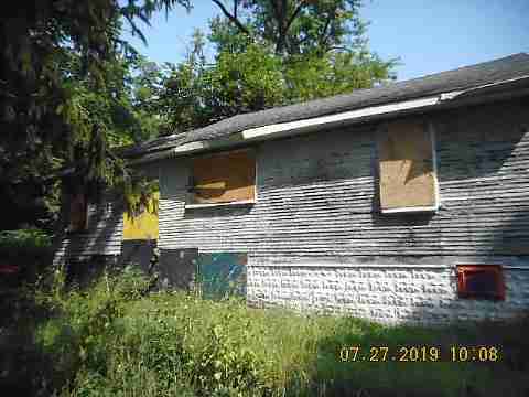 16737 Dolphin (3)_m.jpg